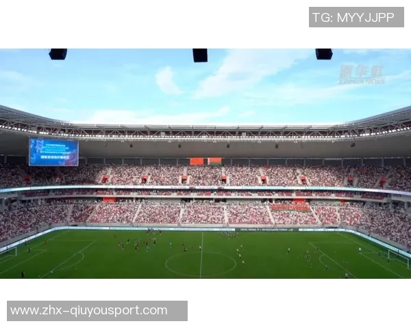 白俄罗斯足球队在国际赛场上的崛起与挑战分析