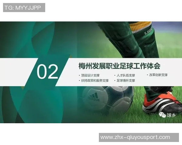 足球一级裁判员的职责与挑战解析以及对职业发展的影响探讨