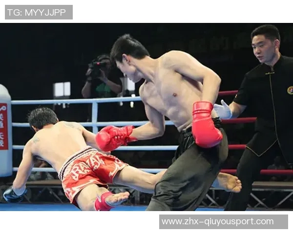 散打与泰拳的对决解析谁才是真正的武道之王